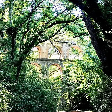 Near Aqueduct Of Balouviere * Laudun